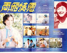 两厢情愿海报