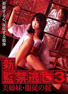 新监禁逃亡3：美姐妹服从守则海报
