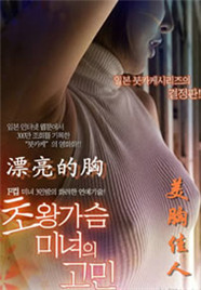 美胸佳人海报