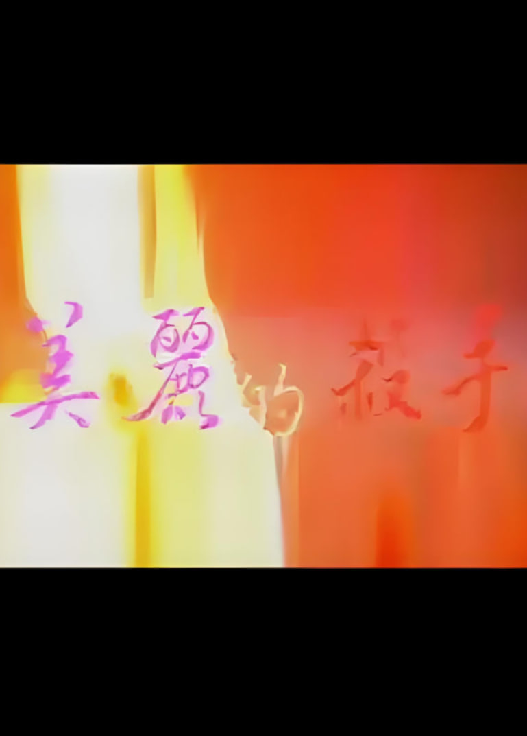 美丽的杀手海报