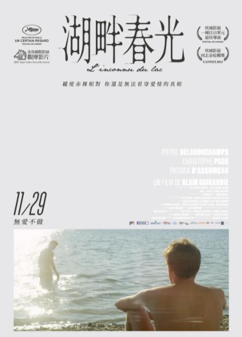 湖畔的陌生人海报