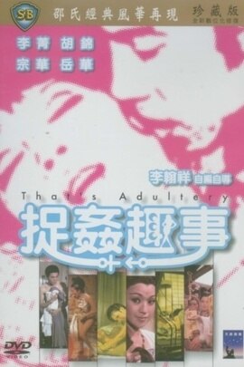 捉奸趣事海报
