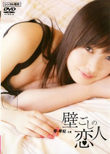 恋人2008海报
