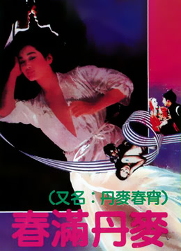 春满丹麦海报
