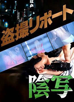 私阴盗摄海报