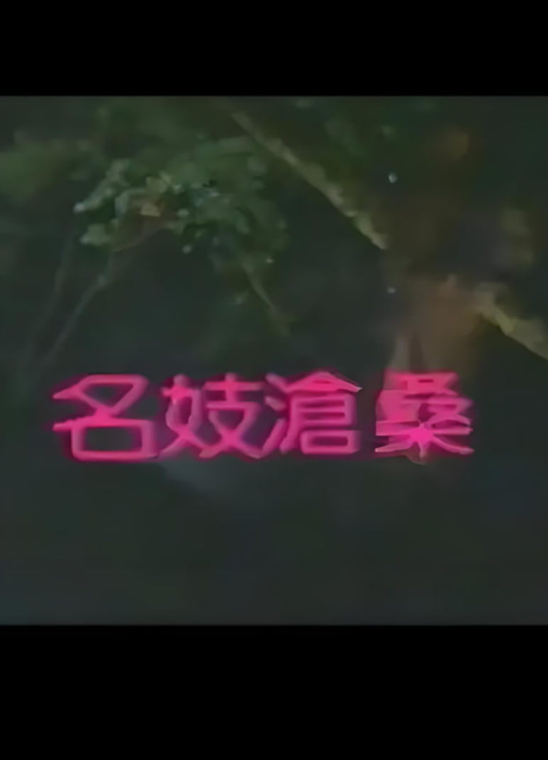 名妓沧桑海报