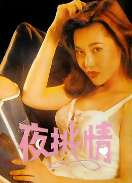 夜挑情海报