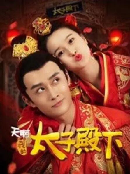 天啊，我的太子殿下海报