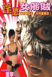 淫欲女飞贼海报
